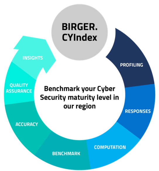 birger-cyindex